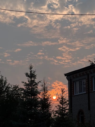 A sunset scene features a bright orange sun partially obscured by trees and clouds, casting a warm glow. In the foreground, dark silhouettes of evergreen trees and deciduous trees are visible. To the right, the corner of a brick building with windows and an arched doorway is present. A thin wire stretches horizontally across the upper portion of the image, dividing the sky. The overall atmosphere suggests dusk in a semi-urban or suburban setting, possibly in Leninsk-Kuznetskiy, Russia, given the architectural style and vegetation.