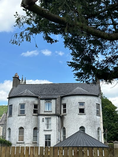 A large, two-story grey building with a grey slate roof and turrets sits in front of a blue sky with white clouds. A large tree branch with green needles hangs over the building from the top left corner of the image. The building has numerous windows, some with white frames and others with dark frames. A chimney with red brick trim is visible on the left side of the roof. In the background, a church steeple is visible. In the foreground, a wooden fence runs along the bottom of the image. The building is located in Baltinglass, Ireland.