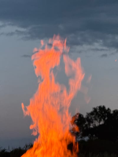 The image shows flames against a dusky sky and some dark foliage. The location in the city of Novo Oriahovo, Bulgaria, cannot be determined from the visual information provided.