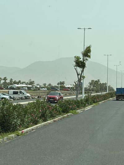 The image shows a parking lot in Yaiza, Spain, with several cars and vans parked. A road runs along the edge of the parking lot, separated by a curb and a strip of bushes with pink flowers. Light poles line the parking lot, and trees dot the area. In the background, a large, light-colored hill or mountain is visible under a hazy sky. The image is taken from an elevated angle, possibly from a moving vehicle.