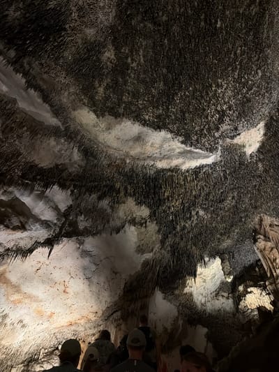 The image depicts an interior view of the Caves of Hams in Manacor, Spain. The scene is dominated by formations of speleothems, characterized by dark, needle-like structures covering portions of the cave ceiling. There are also areas of lighter-colored, smooth rock surfaces that appear to be illuminated by artificial lighting. Some individuals are visible in the lower-right corner of the image, suggesting that people visit the caves.
