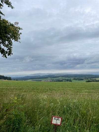An overcast day in Schwarzenborn, Germany, the image captures a vast, green meadow stretching towards a distant, hilly landscape dotted with trees and small villages. In the foreground, tall grass and wildflowers grow abundantly. A small, red-bordered sign with white lettering is partially obscured by the grass; it displays "H 125" and "2,0" indicating a marker or survey point. A tree branch with green leaves is visible in the upper left corner of the frame. The sky is filled with thick, grey clouds, suggesting a possibility of rain. The overall scene depicts a rural, natural environment under a cloudy sky.