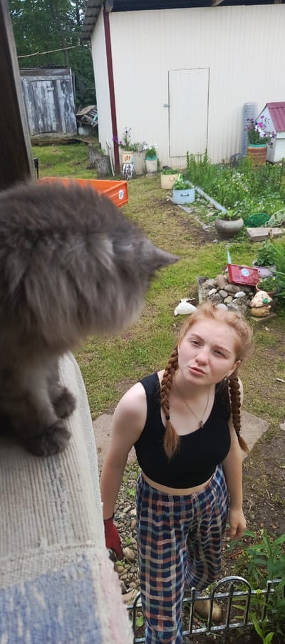 A young woman with red hair braided into two pigtails is looking up at the camera with a curious expression. She is wearing a black crop top and plaid pants. A fluffy grey cat is in the foreground, obscuring a portion of the woman's face and the rest of the image. The scene appears to be outdoors in a yard with a white building and various potted plants in the background. The ground is covered in grass and scattered stones. A red wheelbarrow is visible behind the cat. The overall lighting suggests it is daytime. The woman has a small silver necklace on. She is wearing a red glove on her left hand. A small decorative gnome is visible behind her right shoulder.