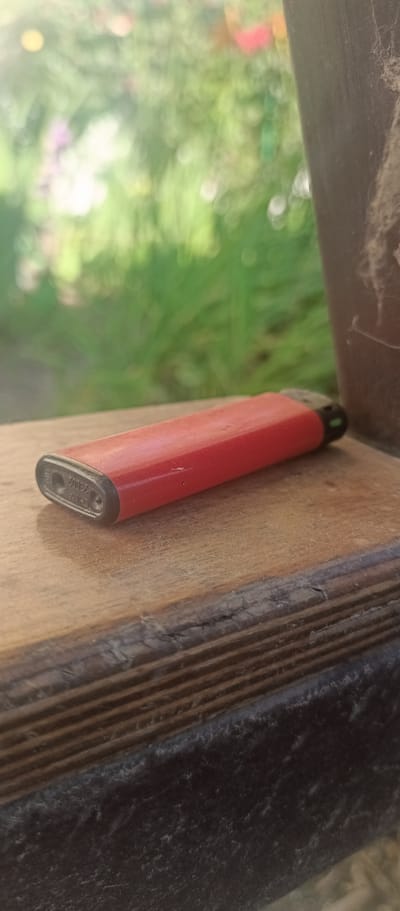 A red disposable lighter lies on a wooden surface. The lighter is oriented horizontally, with its nozzle facing left. It appears to be slightly worn. The wooden surface has a visible grain and a dark, distressed edge. In the background, out of focus, is lush green foliage and hints of pink and yellow, suggesting an outdoor setting with vegetation. The overall scene is brightly lit, possibly by natural sunlight. The image was taken in Voskresenskiy, Russia.