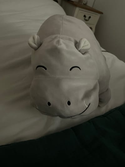A grey plush hippopotamus toy with embroidered facial features lies on a white bed. A dark green blanket is visible along the bottom edge of the frame. In the background, a wooden nightstand with drawers is positioned against a grey wall. The lighting is dim. The image appears to be taken indoors, possibly in a residential setting. There is no indication of the location being in Geudertheim, France, or any other specific city.