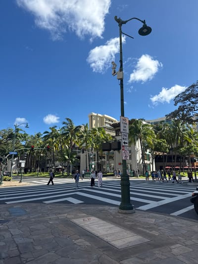 The image captures a sunny street scene in Honolulu, USA. The view is oriented along a crosswalk with black and white zebra stripes crossing the road. The foreground features a sidewalk made of irregularly shaped stone tiles.

Several pedestrians are visible, crossing the street at various points.

A tall, green lamp post stands prominently in the middle ground, bearing a street light and various traffic and regulatory signs, including "NO TURN ON RED," "ONE WAY" signs, and signs restricting bicycle traffic. Traffic lights are also mounted on the post.

Beyond the street, the background is filled with palm trees and other vegetation, interspersed with buildings of varying heights and architectural styles. The sky is blue with scattered white clouds.