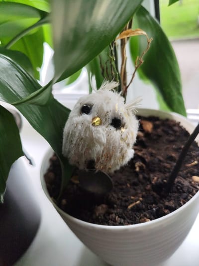 A close-up shot shows a small, fluffy white owl figurine with black eyes and a golden beak nestled among the green leaves of a potted plant. The figurine is positioned to the right of a large, lush green leaf, with the brown soil of the pot visible beneath it. The background is blurred, suggesting an indoor setting with natural light filtering in from a window, hinting at the possible location of Posyolok Imeni Morozova, Russia. The overall scene is serene and domestic.