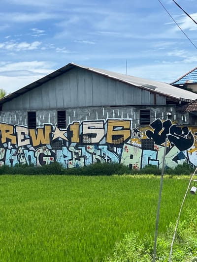 The image captures a static outdoor scene in Tumbak Bayuh, Indonesia. A single-story building dominates the midground, featuring a weathered corrugated metal gable roof and an upper wall section of matching material. The lower section of the building's concrete wall is entirely covered with extensive graffiti. The graffiti displays bold, blocky, yellowish-brown letters with white outlines, forming "REW*156," with a star symbol replacing the 'E' in "REW." Below this, a dense layer of intricate, stylized graffiti in light blue, green, and black hues covers the remainder of the wall. Several rectangular openings or windows are visible within the graffiti-covered wall, some fitted with decorative grates. In the foreground, a vast expanse of lush, vibrant green vegetation, consistent with a rice field, stretches across the width of the frame, bordered by a strip of darker green bushes directly in front of the building. The sky above is clear blue with scattered white cumulus clouds. Black utility lines are visible in the upper right portion of the frame. No individuals are present.
