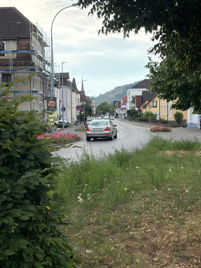 The image depicts a street scene in Singen (Hohentwiel), Germany. The perspective is from street level, looking down a gently curving road lined with houses and vegetation. On the right side of the road, a grassy verge transitions into dry, brown vegetation, with scattered dandelions. On the left, houses with tiled roofs and visible scaffolding suggest ongoing construction or renovation. One house features a yellow facade and a speed limit sign indicating 30 km/h.

Several cars are visible on the road, including a silver sedan in the foreground with a German license plate. The sky is overcast, suggesting cloudy weather. Trees with dense green foliage frame the top of the image, obscuring part of the sky and houses. Pink flowers are planted along the side of the road. Two banners are visible on the scaffolding, one featuring a rose and the other with text that appears to say "LEONCE UND LENA." The overall impression is a residential street in a European town. The time of day appears to be daytime, likely late afternoon or early evening due to the soft lighting.