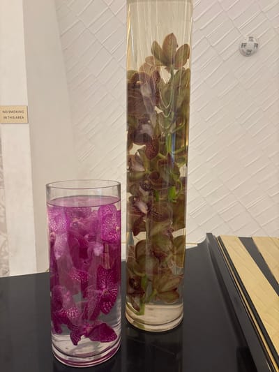 The scene depicts an indoor display in a public or commercial establishment, located in Winchester, United States of America. On a dark, reflective surface, two clear glass cylindrical vases filled with water and orchids are positioned. The vase on the left is shorter and wider, containing multiple submerged deep magenta-purple orchid blossoms, with the water appearing slightly tinted purple. The vase on the right is taller and narrower, holding a submerged stem of light brown-greenish-purple orchids in clear water.

In the background, a light-colored wall with a repeating diagonal geometric texture is visible behind the vases. To the far left, a plain white pillar or wall is present, bearing a light-colored rectangular sign with black text that reads "NO SMOKING IN THIS AREA." To the upper right, affixed to the textured wall, is a white circular object, possibly a smoke detector or environmental sensor, featuring several small, dark indentations. On the dark reflective surface to the far right, a portion of a decorative object with alternating dark and light (possibly gold) horizontal stripes is visible. No individuals are present, and no discernible actions or interactions are occurring within the static display.