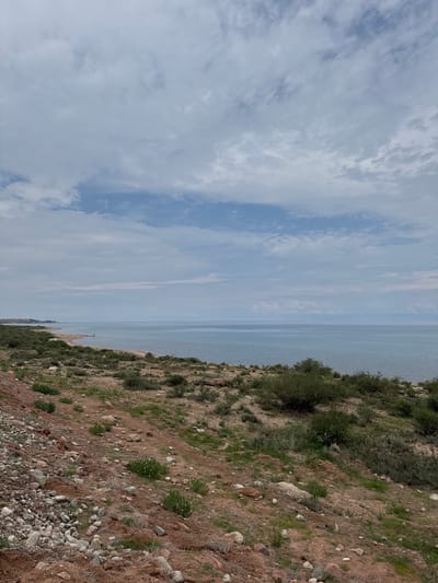 The image depicts a scenic view of a body of water, likely Issyk-Kul Lake, near the city of Tong, Kyrgyzstan. The foreground features a rocky, reddish-brown terrain with scattered green vegetation, including small bushes and sparse grass. A few white wildflowers are visible amongst the rocks and dirt.

The middle ground shows a shoreline with a strip of sand and more dense green bushes. A single person, appearing as a small dark figure, is standing on the shoreline. The expansive body of water occupies the majority of the mid-ground and background, appearing calm and a soft blue-gray hue. The horizon line is clearly defined, separating the water from the sky.

The sky is filled with a mix of white and gray clouds, with patches of lighter blue visible. The overall lighting suggests an overcast or partly cloudy day, contributing to a somewhat muted color palette. The scene conveys a sense of natural tranquility and open space.