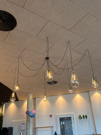 This image depicts the interior of a commercial establishment in Altenheim, Germany. The ceiling is constructed from light-colored, rectangular acoustic tiles. A prominent "spider" chandelier-style lighting fixture is centrally mounted, featuring a black hub from which multiple black electrical cables extend and are secured to the ceiling at various points. Seven individual luminaires, each comprising a clear, tear-drop shaped glass shade with an amber-toned Edison-style filament bulb, are suspended from these cables; all bulbs are illuminated. A circular black air vent is visible in the upper left of the ceiling.
The walls are predominantly white, illuminated by multiple recessed spotlights creating distinct cones of light. A cylindrical concrete column is positioned towards the left-center, adorned with four balloons (one purple, one pink, two blue) and metallic streamers.
On the right wall, a red rectangular sign is visible. To its right, a white-framed door with a glass panel displays the word "Privat" on a sign seen through the glass. Adjacent to the door, a green wall-mounted pictogram sign indicates facilities for a wheelchair user, a male, and a female. A portion of a white coat rack structure is visible below the door. In the lower-left, a dark object, possibly a cabinet, is partially visible, alongside some green foliage. No individuals are present in the scene.
