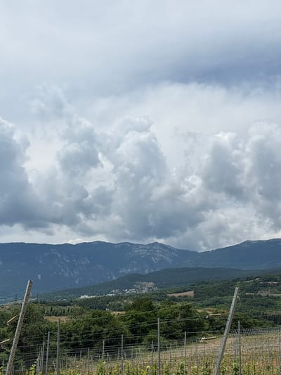 The image depicts a mountainous landscape with a vineyard in the foreground. The sky is filled with dramatic, dark clouds. In the mid-ground, rolling hills covered in lush green vegetation are visible, with a small village nestled among them. Beyond the hills, a range of rugged mountains dominates the background, their slopes appearing rocky and steep. The foreground features rows of young grapevines supported by metal posts, suggesting an agricultural setting. The overall scene conveys a sense of natural beauty and tranquility, with the imposing mountains and the cloudy sky creating a powerful atmosphere.