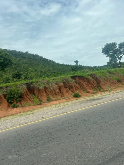 The image depicts a roadside scene in Minda, Nigeria. The perspective is from a moving vehicle, looking out at the landscape. To the right of the frame is a paved road with a yellow line and a gravel shoulder. The road appears to be wet, with some dark splotches that could be oil or water stains.
To the left of the road, the terrain slopes upwards, showing signs of erosion. Reddish-brown soil is exposed in gullies and terraces, with patches of green grass and scrubby vegetation growing. Further up the slope, a lush, green hillside is covered in dense vegetation, with trees dotting the landscape. The upper portion of the hillside appears to be cultivated, possibly with crops like maize, indicated by rows of green stalks. A large tree with dark green foliage stands prominently on the upper left side of the hill.
The sky is overcast with soft, white clouds, suggesting it is daytime, possibly late morning or afternoon, and the weather is cloudy. There is no visible text in the image. The overall impression is one of a rural or semi-rural environment, possibly a developing area where infrastructure like roads is being built alongside natural landscapes, leading to some environmental impact like erosion. The scene evokes a sense of a journey or travel through this region.