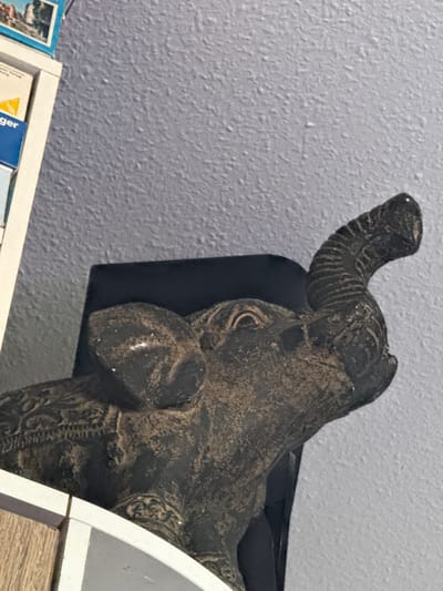 A close-up shot features a weathered, dark-colored elephant figurine with an upraised trunk, positioned on a shelf. The shelf, predominantly white, also holds partially visible books and documents. Behind the figurine, a black object provides support. The background is a plain, textured light grey wall. The location is likely within a private residence in Lüneburg, Germany, inferred from the presence of German-language printed materials on the shelf.
