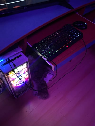 The image displays a gaming setup with a computer tower, keyboard, and mouse. The computer tower has colorful RGB lighting visible through its glass panel. The keyboard is also illuminated with RGB lighting, showing a gradient of colors. A black mouse is positioned to the right of the keyboard. The setup is placed on a desk with a red and blue surface, under a larger screen which is partially visible at the top. The scene is bathed in purple and blue ambient light. The floor beneath the desk appears to be made of wood. The image does not provide any information that would allow for its location to be specified as Каменар, Bulgaria.