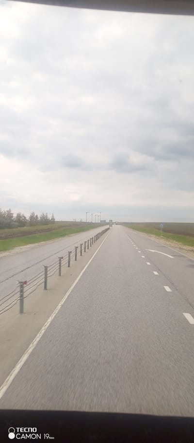 The image shows a long, straight highway with two lanes in each direction, viewed from inside a vehicle. A grassy verge with trees runs alongside the road on the left. A metal guardrail is placed between the verge and the highway. Overhead lights line the road in the distance. The sky is overcast. There is a road sign on the right side of the road. A truck is visible far ahead in the distance. The image was taken in Verkhnyaya Gryaznukha, Russia.