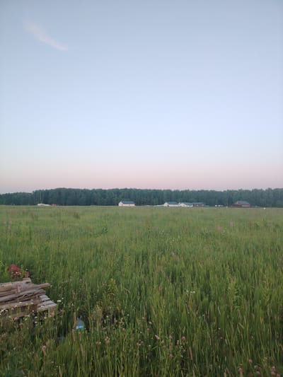 This is a wide-angle, eye-level, outdoor, horizontal photograph taken in Rastunovo, Russia. The image depicts a rural landscape at dusk. The foreground is dominated by a dense field of green grass, with scattered wildflowers and weeds. To the left, in the foreground, a stack of weathered wooden planks is visible, with a red object on top and a blue plastic bottle lying amongst the vegetation. In the mid-ground, a line of trees forms a dark green forest boundary. Beyond the trees, several modern houses with light-colored walls and dark roofs are sparsely scattered. The sky above is a gradient of pale blue to a very faint pink, indicating the late evening hours. The overall impression is one of peaceful, undeveloped countryside. There are no people or animals visible in the frame.