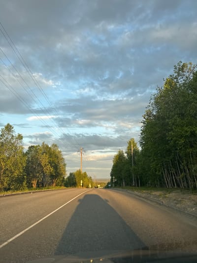 This image captures a two-lane asphalt road extending into the distance under a partially cloudy sky. The illumination is consistent with a low sun angle, suggesting either early morning or late afternoon/evening, casting a golden hue on some clouds and foliage. A prominent, elongated shadow, originating from the viewpoint of the photograph, stretches across the left lane of the road.

On the left side of the road, multiple parallel power lines traverse the upper frame, supported by a single wooden utility pole positioned mid-distance. A dense stand of deciduous trees with vibrant green leaves lines the road, exhibiting variations in height and density. On the right side of the road, another thick growth of deciduous trees, possibly birch given their slender, light-colored trunks, forms a distinct boundary. A modern-style streetlight fixture on a metal pole is visible amongst these trees further down the road. The road surface is dark asphalt with a distinct white solid line marking the center or edge of the left lane. Road signs are faintly discernible in the distance on the right side. No individuals are visible in the scene. The overall environment suggests a road in a forested or semi-forested area, consistent with the landscape found in the vicinity of Apatity, Russia.