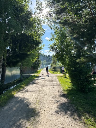 A dirt road stretches through a tree-lined area in Слава Снт, Russia. The sun shines brightly, casting shadows on the road. On the left side of the road, a corrugated metal fence runs along a ditch. On the right, a dense evergreen tree partially obscures the view of a house and other trees in the background.
Several people are present:
- Two individuals, one with dark clothing and another in white, walk together on the dirt road, accompanied by two small dogs.
- Further down the road, another person in white shorts and a white t-shirt walks away from the camera.
- To the far right, a person in a light-colored shirt stands near the evergreen tree.
The environment appears to be rural or suburban, with evidence of a residential area and natural vegetation. The sky is blue with some scattered clouds, and there is a faint haze or smoke visible in the distance.