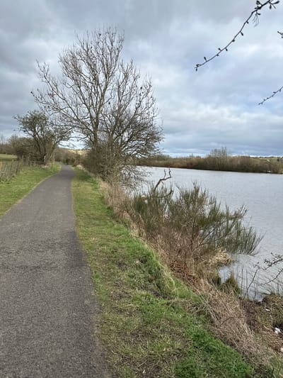A ground-level, tilted shot shows a gray asphalt path leading into the distance, flanked by green grass and bare trees on the left and overgrown vegetation and a body of water on the right. The sky is overcast with heavy, gray clouds. The scene appears to be a walking or cycling path near a lake or river. Given the prompt mentions Dunfermline, United Kingdom, the location is likely a rural or park area within or near the city.