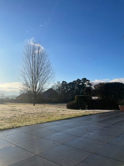 This image depicts a static outdoor scene in Chambéry, France, captured during a clear, frosty morning. The foreground is occupied by a dark grey, square-tiled patio exhibiting a reflective sheen, with a few scattered dry leaves. A terracotta plant pot is partially visible on the far right edge of the patio. Adjacent to the patio, a lawn extends into the midground, uniformly covered in white frost. A tall, leafless deciduous tree stands prominently in the center of the frosty lawn. To the right of the lawn, a dense, dark green hedge line and various evergreen shrubs are visible, displaying localized patches of frost. In the background, a cluster of large evergreen trees with dark foliage is present, beyond which two structures with dark, steeply pitched roofs are discernible amidst other bare trees. The distant horizon features a hazy line of terrain, partially obscured by a low band of light clouds. The sky overhead is a clear, vivid blue with minimal, wispy white cloud formations. Direct sunlight, originating from the left, illuminates the scene and highlights the frosty ground. No individuals or dynamic actions are observed.