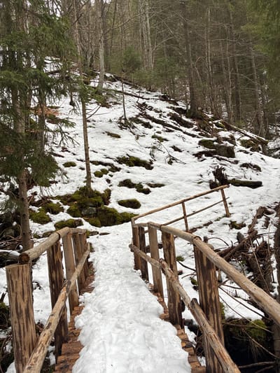 The image depicts a snowy, wooded area with a rustic wooden staircase running through it. Patches of snow and moss cover the ground, while trees stand to the left side of the scene. The location cannot be confirmed to be in Manastir, Bulgaria.