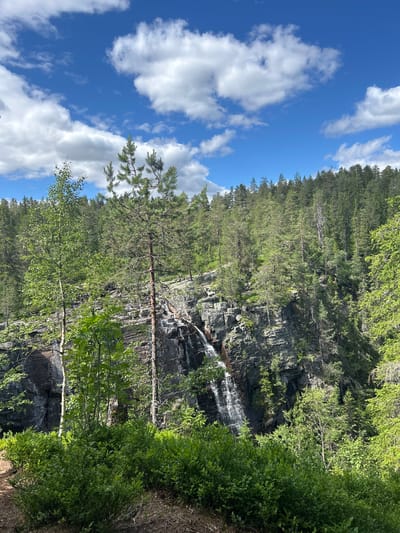 The image displays a natural landscape with a forest, a waterfall, and a bright blue sky filled with white clouds. The scene is oriented vertically, with the sky occupying the left portion of the frame and the forest and rocky cliff face on the right.
The forest is dense with evergreen trees, their green needles creating a lush canopy. Scattered among the trees are some deciduous trees with lighter green foliage, suggesting a mix of species. A rocky cliff face runs through the middle of the image, interspersed with greenery. At the top of the cliff, a waterfall cascades down the rocks, its water appearing white and frothy as it falls. The rocks themselves are dark gray and appear rugged and textured.
In the foreground on the right, there is a dense growth of green bushes and smaller trees, partially obscuring the lower section of the cliff. A few bare branches from trees are visible, some spanning across the frame.
The sky is a vibrant blue, with puffy white clouds scattered across it. The lighting suggests it is daytime, likely late morning or early afternoon, given the brightness and the shadows cast by the trees. The overall atmosphere is serene and picturesque, highlighting the beauty of a natural, wild environment. There is no visible text in the image.