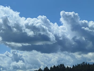 This is a wide shot of a cloudy sky over a dark line of trees in Katlakalns, Latvia. The sky is a vibrant blue, with large, fluffy white clouds dominating the scene. The clouds vary in thickness and density, with some appearing bright and sunlit, while others are darker and more shadowed, suggesting depth and variation. The lower portion of the image shows the silhouette of a dense forest, with the tops of evergreen trees forming a jagged, dark line against the lighter sky. The overall impression is of a bright, possibly warm day with dramatic cloud formations. There are no people or any other objects visible in the frame.