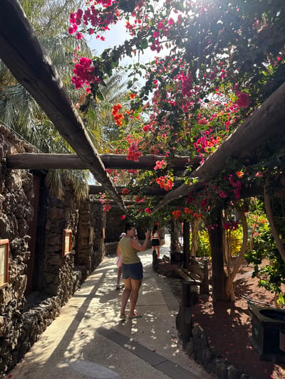 The image captures an outdoor pathway canopied by a vibrant bougainvillea-covered pergola, under bright sunlight in Tías, Spain. A woman stands on the paved path, dressed in a light green top and dark shorts, appearing to hold a phone as she looks ahead.

The wooden pergola is densely adorned with blooming bougainvillea in vivid shades of hot pink, coral, and orange, with green foliage interspersed. Sunlight streams through the canopy, creating dappled shadows on the light-colored pathway and hinting at a clear, sunny day, likely mid-morning or afternoon. Palm fronds are visible through the gaps in the foliage on the left side.

To the right of the pathway, a textured stone wall or terraced rock formation rises, featuring several small wooden signs mounted on its surface. The specific text or images on these signs are not legible. Further back on the right, there's a darker ground area with scattered fallen petals and additional green vegetation. The overall atmosphere is warm and inviting, suggesting a scenic garden or a cultivated tourist path.