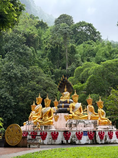 This image depicts a sacred Buddhist site nestled at the base of a heavily forested mountain range in Chiang Dao, Thailand, under an overcast sky. In the center, a large golden Buddha statue is seated in a meditation pose upon a multi-tiered, dark, serpent-like Naga base, which is elevated on a weathered light-colored platform. Flanking this central figure are six additional golden Buddha statues, three on each side, seated on a lower, extended platform. These flanking statues wear elaborate golden crowns and white or silver sashes draped over their left shoulders. A small, white-robed monk figurine is positioned on the ground directly in front of the lower platform.

The lower section of the platform is adorned with multiple prominent red, stylized Garuda figures, symmetrically arranged. A blue sign with white text, reading "ห้ามขึ้น", "BANNED", and Chinese characters, is affixed to this section. To the left of the main platform, a large, intricately carved golden Dharma Wheel rests on its side on a low brick base. Adjacent to it, a stone pedestal holds a dark, ornate, stylized vessel or sword-like object. The immediate foreground features a damp, dark paved pathway, bordered by a strip of bright green, well-maintained grass.

The background is dominated by dense, vibrant green tropical foliage covering steep hillsides, with visible mist or low clouds clinging to the upper slopes, indicative of a humid environment. The sky is uniformly light grey and overcast, casting a soft, diffused light across the entire scene.