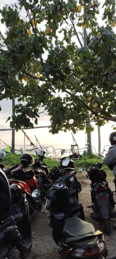 In Senggigi, Indonesia, under a canopy of green leaves, a group of parked scooters creates a scene of roadside tranquility. The soft light of dawn or dusk filters through the foliage, casting a gentle glow on the collection of motorcycles and helmets. The background hints at a coastal setting, with the faint outlines of boats on the water and the calm sea. The overall impression is one of a peaceful, unhurried moment, perhaps a pause in a journey or a gathering before or after a day at the beach.