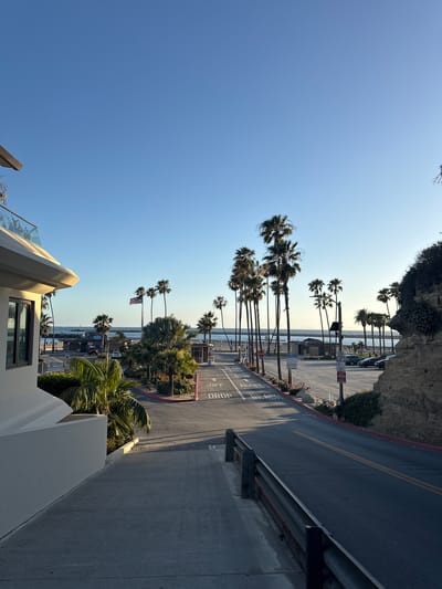 This image depicts a coastal scene in Newport Beach, California, USA. It captures a view from an elevated perspective, possibly from a building or higher ground, overlooking a street lined with palm trees and a beach. The sky is clear and blue. The image appears to be oriented sideways. A concrete road runs along the right side of the frame with the words "DROP OFF" painted on the road. Guard rails are present along the street. The beach can be seen beyond the palm trees, along with a glimpse of the ocean. In the distance, people can be seen on the beach. An American flag flies in the distance. The architecture of a building is visible in the foreground. Vegetation is present along the roadway.