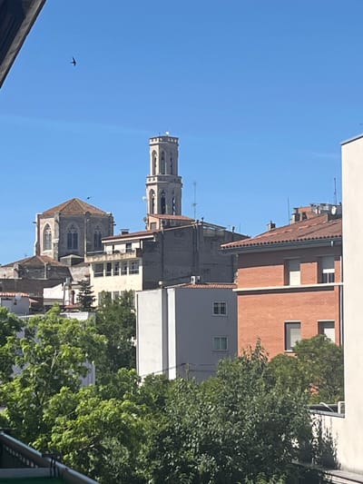 The image captures a daytime view of the city of Figueres, Spain, focusing on architectural elements and lush greenery against a clear blue sky. In the background, a prominent bell tower, characteristic of the city's architecture, stands tall, accompanied by the facade of a large, historic building with arched windows. Several other buildings of varying heights and materials, including a red brick structure and a grey apartment building, are visible, interspersed with abundant trees and foliage that partially obscure the lower portions of the urban landscape. A small bird is seen in flight against the bright sky. The foreground shows a glimpse of a balcony railing, suggesting the viewpoint is from a higher elevation within the city.