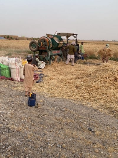 In Alaqadari Daman, Afghanistan, a field shows agricultural harvesting activity. Several people work around an older model threshing machine, which is green and orange with visible brand lettering. The workers feed bundles of straw into the machine. A young boy wearing a tan outfit and a patterned cap stands near a blue and yellow container in the foreground. Bags of harvested grain are stacked nearby. The ground is uneven, with straw scattered about. In the background, a flat field of crops stretches toward the horizon under a pale sky.