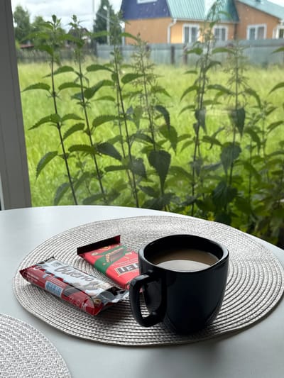A mug of coffee and two chocolate bars are on a table with a woven placemat, viewed through a window. Outside the window is a yard with green grass and nettle plants, and in the background are houses with orange and blue roofs, and a fence. The scene appears to be a breakfast setting at a residence in Южное Снт, Russia.