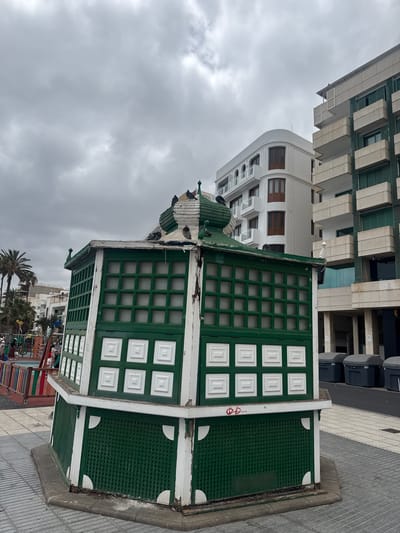 The image shows a green and white wooden lifeguard station in Arrecife, Spain. The station has a multi-paneled window design and a gabled roof. Several pigeons are perched on the roof of the lifeguard station. A modern, multi-story building is visible in the background. The sky is overcast with gray clouds. A park, with palm trees and playground equipment, is visible in the foreground. The station appears to be located on a tiled pavement near the beach.