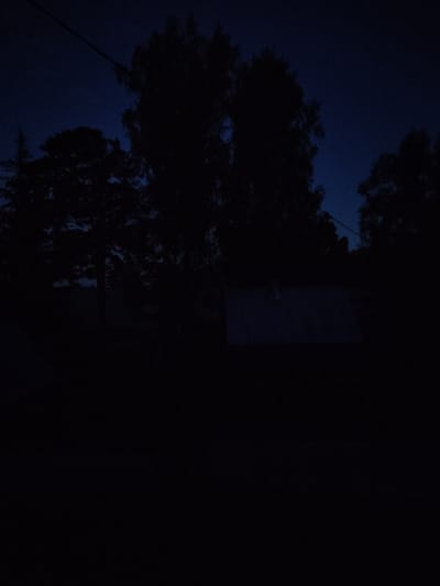 The image depicts a nighttime scene in Beryozovka, Russia, with a prominent silhouette of a tree against a dark blue sky. The tree's branches are dense and create an intricate pattern against the dim backdrop. A thin, vertical object, possibly a pole or a slender tree trunk, extends from the lower left of the frame upwards, also silhouetted. The right half of the image is almost entirely black, obscuring any details of the environment. There is a faint, rectangular shape of lighter color visible within this dark area, which could be a window or a light source. The overall mood is somber and mysterious, with the deep blues and blacks contributing to the sense of night and obscurity. The scene appears still, with no discernible activity taking place. The weather is not explicitly indicated, but the dark sky suggests it might be clear or overcast, with no visible precipitation or strong winds. No people are visible in the image, and the focus is entirely on the natural and architectural elements in silhouette. The location is identified as Beryozovka, Russia, but no specific landmarks or cues within the image confirm this beyond the provided context. No visible text is present.