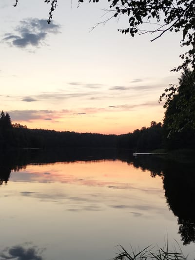 The image captures a serene sunset over a lake, likely in or near Kichier, Russia. The sky is a canvas of soft pastels, with hues of orange, pink, and pale yellow blending into the twilight. Wispy clouds are scattered across the sky, their reflections shimmering on the calm surface of the water.

A dense, dark forest lines the far bank of the lake, creating a dramatic silhouette against the illuminated sky. The trees are lush and verdant, suggesting a natural, undeveloped landscape. On the right side of the image, a few branches of deciduous trees with dark leaves frame the scene, their silhouettes stark against the lighter sky.

In the middle distance, a small, white dock extends into the water, a subtle human intrusion into the natural beauty. The water itself is still, mirroring the sky and the surrounding foliage with remarkable clarity. The overall impression is one of tranquility and natural splendor, a peaceful moment captured at the end of the day.