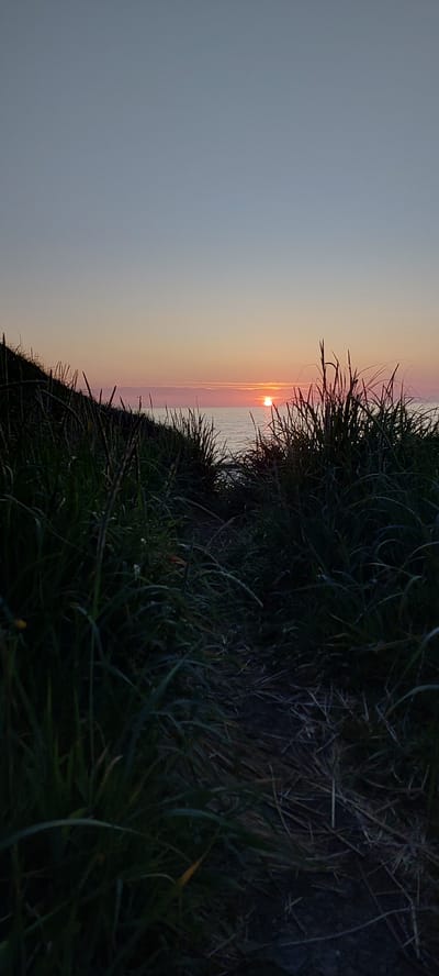A path winds through tall, dark grass towards a calm ocean under a pale sky. The sun, a small, bright orb, is setting just above the horizon, casting a warm, pink glow on the water and a thin line of clouds. The foreground is dominated by the dense, shadowed grass, with the path barely visible between it. The scene appears to be a natural coastal area. There are no people or man-made structures visible in the image. The location is Aleksandrovsk-Sakhalinskiy, Russia, suggesting a remote, natural landscape near the coast.