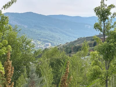 The image depicts a serene natural landscape with rolling green hills and a hazy sky. In the middle distance, nestled amongst the trees, a white, multi-story building with a red roof can be seen. The foreground is dominated by lush green foliage and trees, with a tall tree on the right side of the frame. The scene appears to be located in the city of Uchterek, Uzbekistan, given the architectural style of the building and the general topography of the region. The overall atmosphere is tranquil and picturesque, suggesting a peaceful rural or semi-rural setting.