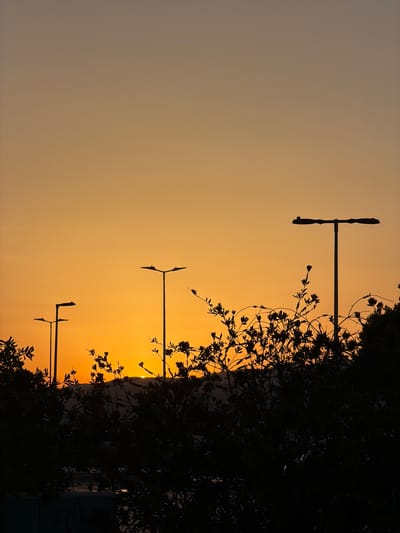 The image shows a sunset scene in Grao, Spain. The foreground is dominated by the dark silhouettes of trees and branches, with some small flowers visible among them. Several streetlights, also in silhouette, are positioned against the vibrant orange and yellow sky, indicative of either sunrise or sunset. The sky itself is a gradient of warm colors, transitioning from a lighter yellow at the horizon to a softer, more muted tone towards the top of the frame. The sun is partially obscured by the trees, casting a warm glow. The overall atmosphere is peaceful and serene, with the silhouettes creating a dramatic contrast against the colorful sky. There are no visible people or text in the image.