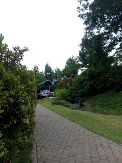 The image depicts an outdoor pathway within a park-like environment in Tân Kỳ Commune, Vietnam, under an overcast sky. A gray hexagonal paver block path, showing minor cracks, extends from the foreground to the midground, curving slightly to the left. To the immediate left of the path, dense green foliage with some reddish-brown leaves forms a natural boundary. To the right of the path, a manicured green lawn borders a small concrete culvert with a trickle of water, situated amidst a sloping bank covered in green shrubs and sparse white and purple flowers.
In the midground, partially obscured by foliage, a dark, arch-shaped structure with a translucent roof is visible. Beneath this structure, a blue and white sign displays white text reading "THANK YOU FOR COMING" and "SEE YOU AGAIN!". The background is characterized by numerous trees, including distinct conical evergreen trees and broader-leafed trees, beneath an expansive, bright white overcast sky. No individuals or animals are present in the scene.