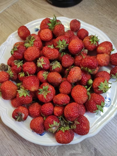 A white, scalloped-edge plate is filled with a large pile of fresh, red strawberries. The plate has a subtle blue floral pattern on its rim. The strawberries are varied in size and shape, with some showing green stems and leaves. The plate rests on a light-colored, wood-grained surface, possibly a table. In the background, a dark object, possibly a coffee maker or appliance, is partially visible at the top edge of the frame. The lighting suggests an indoor setting, likely a kitchen or dining area. There are no people or animals present in the image. The scene is a still life composition focused on the fruit. The location is not identifiable from the image itself, and no information is available about Jablonec nad Nisou, Czechia.