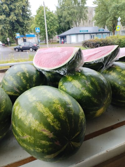 The image depicts a close-up view of several whole watermelons and two large slices of watermelon, all displayed outdoors on a counter. The watermelons are dark green with lighter green stripes, and the slices, wrapped in plastic, reveal a bright pink interior. In the background, a street scene is visible, featuring a dark sedan, trees, buildings, and street signs. The presence of a building with the Cyrillic text "СПОРТСМЕН" suggests a location in Vileyka, Belarus. The overall scene appears to be a fruit stand or market stall on a street.