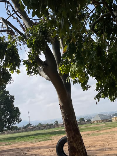 This is a ground-level, eye-level, medium shot photograph taken on a clear day in Unguwar Saya, Nigeria. The foreground is dominated by a large tree with a thick, textured trunk and branches laden with green leaves. A black tire hangs from the trunk. The middle ground features a large, flat, grassy field with patches of dirt. In the background, a line of low-rise buildings with concrete walls stretches across the horizon. A tall telecommunications tower stands to the left of the frame, and a large, light-colored building with a distinctive pyramidal roof is visible to the right. The sky above is partly cloudy. There are no people or animals visible in the image.