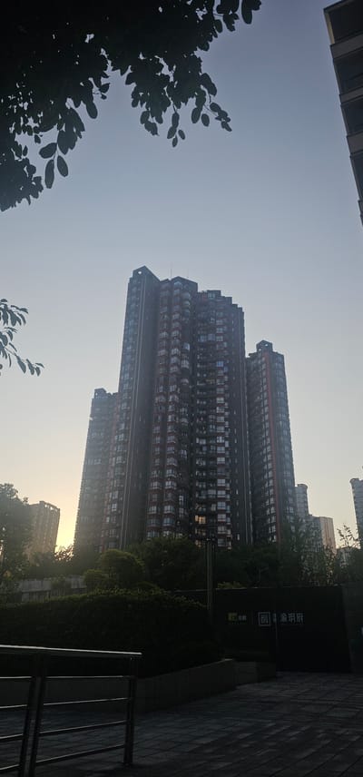 The image depicts a view of a modern residential complex in Longxi Subdistrict, China. In the foreground, a paved walkway and a metal railing are visible, suggesting a public or communal area within the development. Behind the railing, a dark, dense hedge forms a barrier. Beyond the hedge, a large, multi-story apartment building dominates the scene. This building features numerous windows and balconies, indicative of a high-density housing structure. The architecture appears contemporary, with a dark facade punctuated by red accents. The sky above is a pale, hazy blue, and the low angle of the sun suggests it might be early morning or late afternoon. Silhouetted against the sky, tree branches with leaves are visible in the upper left corner, framing the view. In the background, other buildings of varying heights are present, some partially obscured by trees and atmospheric haze. A large black sign with white Chinese characters is positioned on the right side of the frame, likely related to the property. There are no people visible in the image.