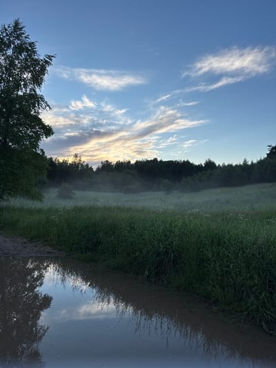 The image captures a serene, misty meadow at dusk in Lesistoe, Russia. In the foreground, a muddy puddle reflects the sky and surrounding vegetation, with a dirt path to its left. Tall, green grass dominates the middle ground, with a low-lying mist creating a hazy atmosphere. Beyond the meadow, a dense forest line forms the horizon. The sky above is a clear blue with wispy, elongated clouds, tinged with the warm colors of sunset. The overall scene evokes a sense of peace and natural beauty in the Russian countryside.