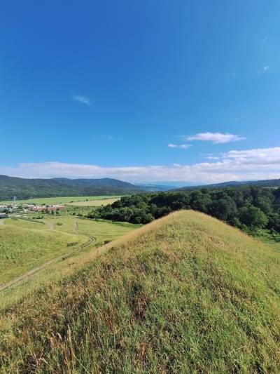 This is a vertical, eye-level, outdoor, wide shot of a grassy hillside that slopes down to a valley. In the foreground, tall, dry grasses dominate the right side of the frame, creating a textured, golden-brown foreground. A dirt path winds its way down the grassy slope from the upper right corner towards the center of the frame.

The middle ground reveals a lush green valley dotted with buildings that appear to be a small village or settlement. A line of trees runs along the edge of the valley, separating it from a distant mountain range covered in dark green foliage. The mountains recede into the distance, becoming lighter shades of green and blue.

The sky is a vibrant, clear blue with a few wispy white clouds scattered across it. The image appears to be taken on a sunny day, likely in the late morning or early afternoon, given the brightness of the light and the blue sky. The scene suggests a peaceful, rural setting. No people or animals are visible in the frame. No text is present in the image. The location is Alkhasty, Russia.