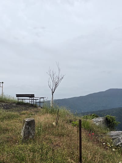 The image depicts a desolate, overcast scene on a grassy hillside, likely in or near Yavrovo, Bulgaria. In the foreground, a weathered stone marker with a metal ring is situated amidst overgrown, dry grass and scattered small yellow and white wildflowers. A dark wooden bench and picnic table are positioned on a slightly raised, rocky area further back, overlooking a valley of rolling, misty mountains. A bare, skeletal tree stands to the right of the bench, its branches stark against the muted sky. The overall atmosphere is one of quiet solitude and the stark beauty of nature under a heavy, cloudy sky. No people or animals are present in the frame.